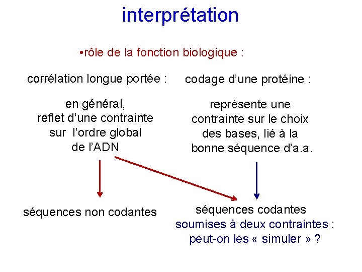 interprétation • rôle de la fonction biologique : corrélation longue portée : en général,