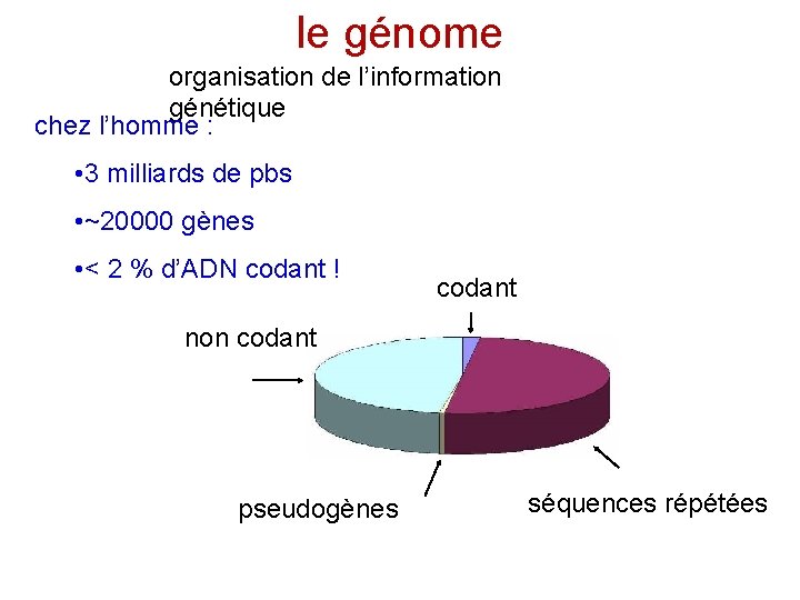 le génome organisation de l’information génétique chez l’homme : • 3 milliards de pbs