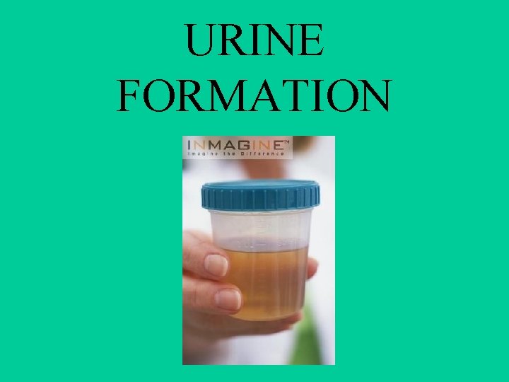 URINE FORMATION 