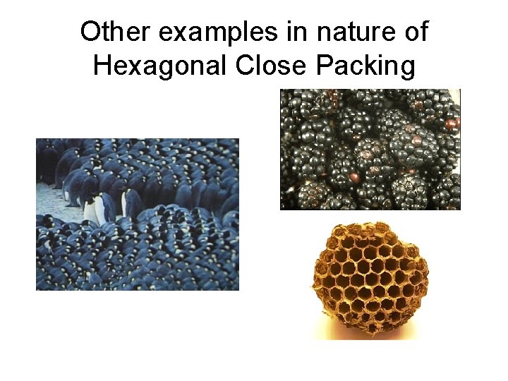 Other examples in nature of Hexagonal Close Packing 