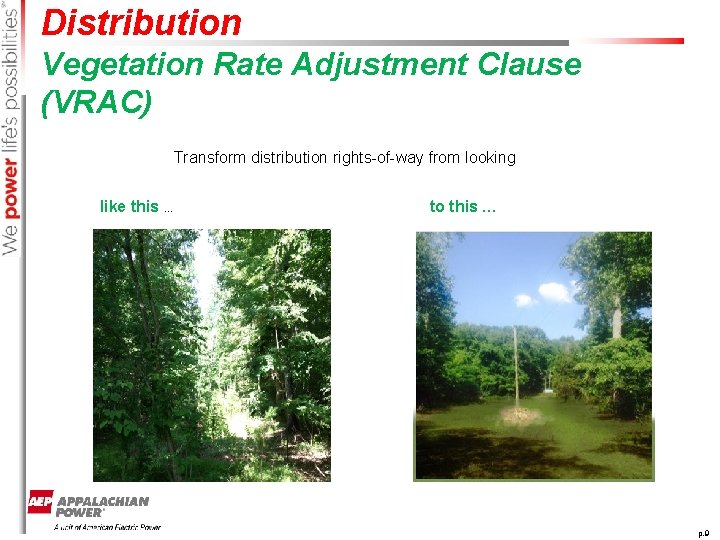 Distribution Vegetation Rate Adjustment Clause (VRAC) Transform distribution rights-of-way from looking like this …