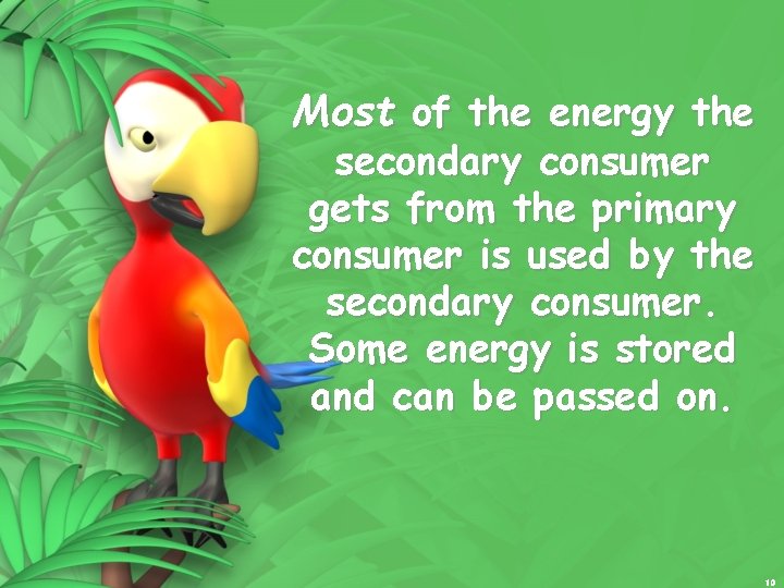 Most of the energy the secondary consumer gets from the primary consumer is used