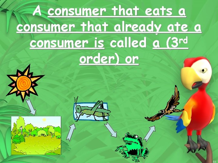 A consumer that eats a consumer that already ate a consumer is called a