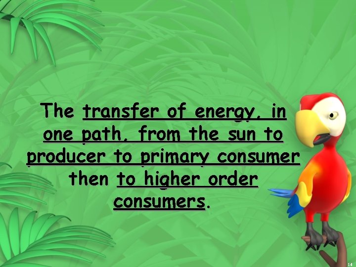 The transfer of energy, in one path, from the sun to producer to primary