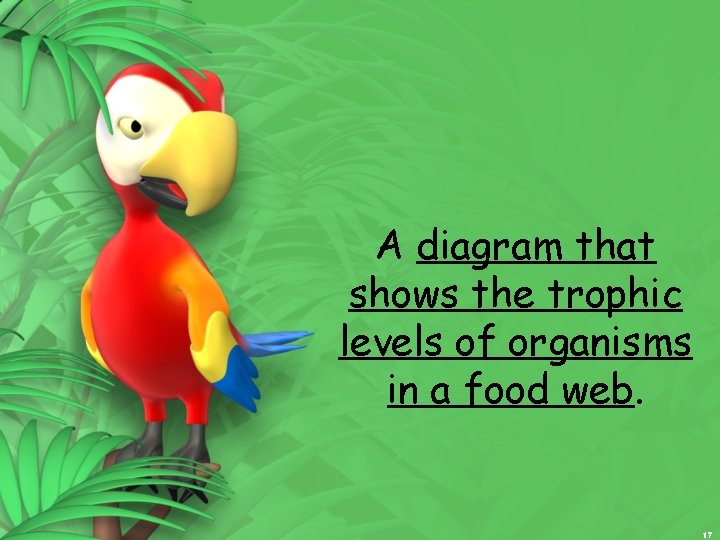 A diagram that shows the trophic levels of organisms in a food web. 17