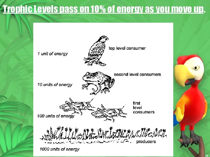 Trophic Levels pass on 10% of energy as you move up. 18 