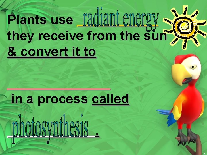 Plants use ______ they receive from the sun & convert it to _______ in
