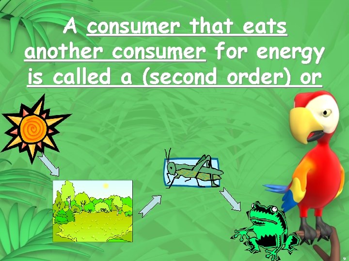 A consumer that eats another consumer for energy is called a (second order) or