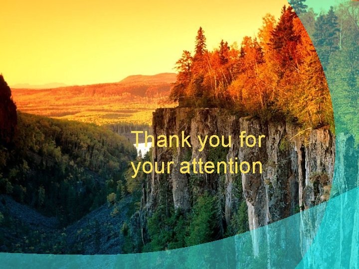 Thank you for your attention 