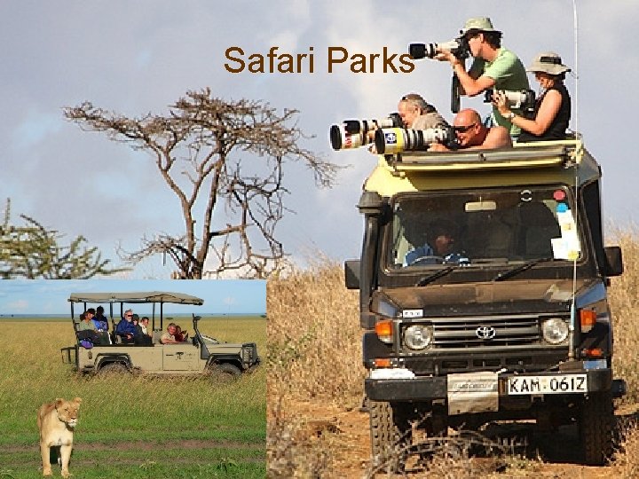 Safari Parks 