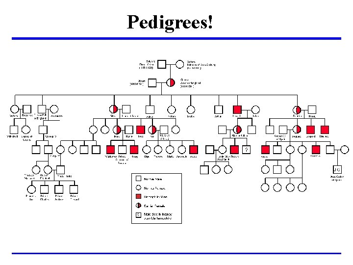 Pedigrees! 