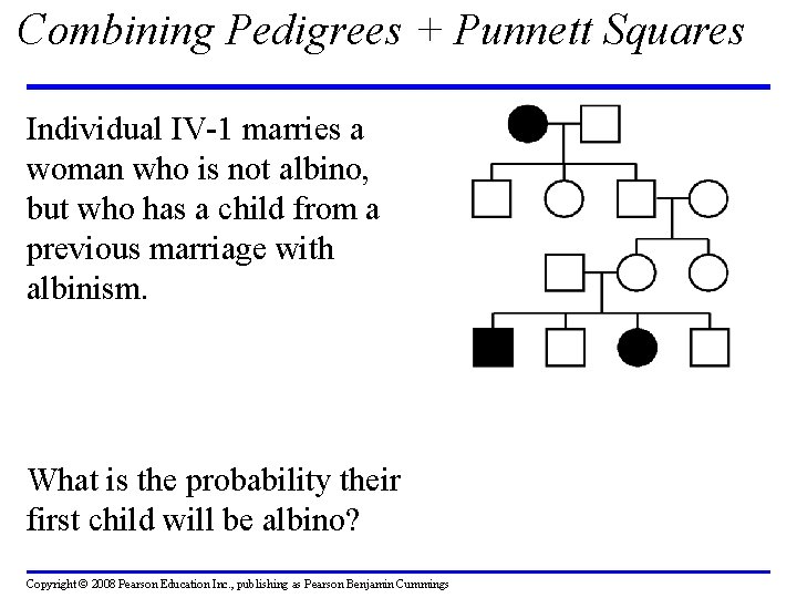 Combining Pedigrees + Punnett Squares Individual IV-1 marries a woman who is not albino,