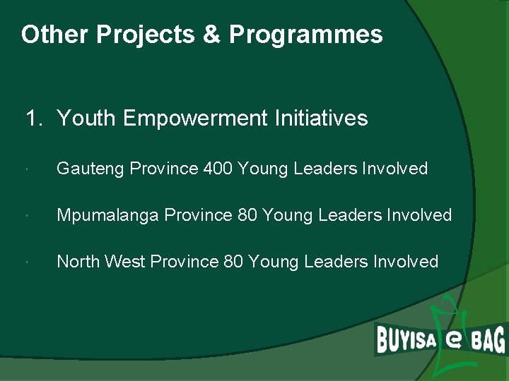 Other Projects & Programmes 1. Youth Empowerment Initiatives Gauteng Province 400 Young Leaders Involved