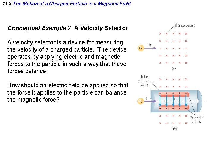 21. 3 The Motion of a Charged Particle in a Magnetic Field Conceptual Example