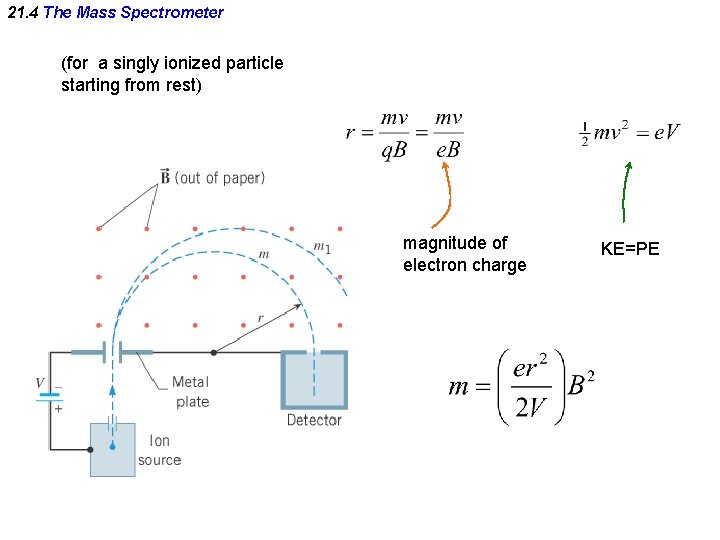 21. 4 The Mass Spectrometer (for a singly ionized particle starting from rest) magnitude