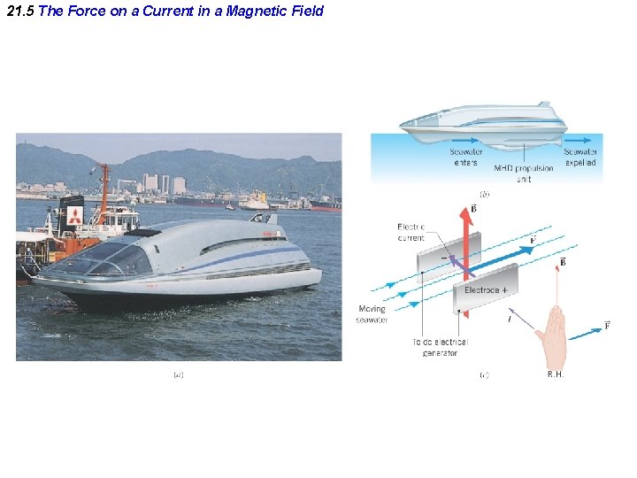 21. 5 The Force on a Current in a Magnetic Field 