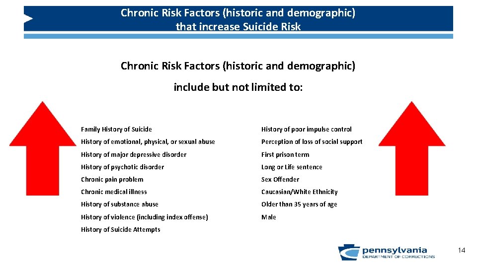 Chronic Risk Factors (historic and demographic) that increase Suicide Risk Chronic Risk Factors (historic