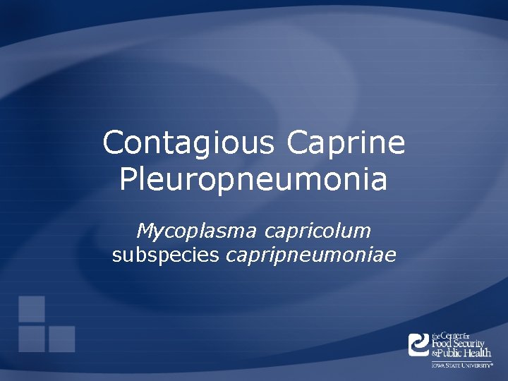 Contagious Caprine Pleuropneumonia Mycoplasma capricolum subspecies capripneumoniae 