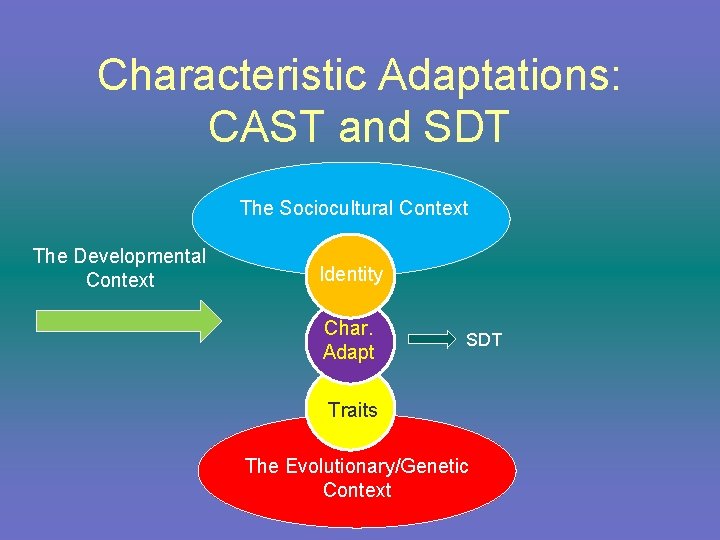 Characteristic Adaptations: CAST and SDT The Sociocultural Context The Developmental Context Identity Char. Adapt