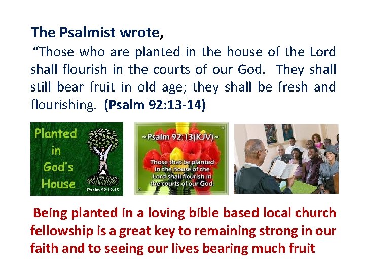 The Psalmist wrote, “Those who are planted in the house of the Lord shall