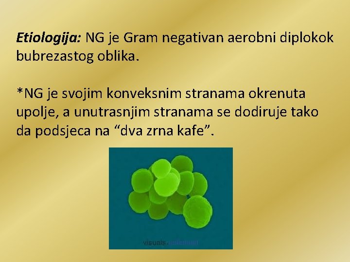 Etiologija: NG je Gram negativan aerobni diplokok bubrezastog oblika. *NG je svojim konveksnim stranama