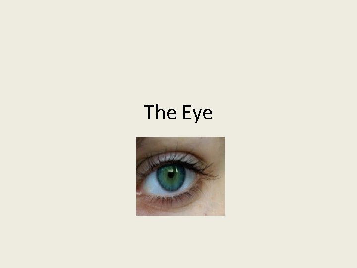 The Eye 