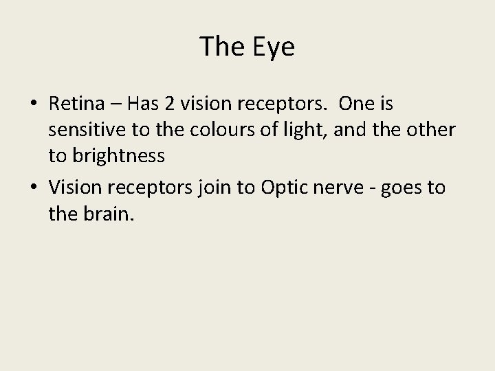 The Eye • Retina – Has 2 vision receptors. One is sensitive to the