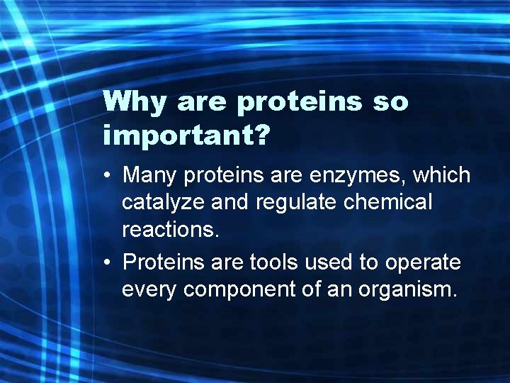 Why are proteins so important? • Many proteins are enzymes, which catalyze and regulate