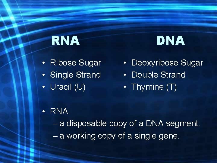 RNA • Ribose Sugar • Single Strand • Uracil (U) DNA • Deoxyribose Sugar