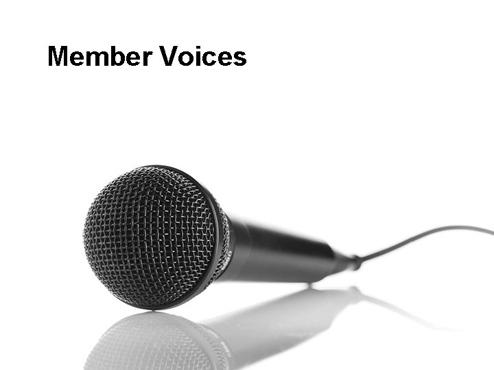 Member Voices 7 