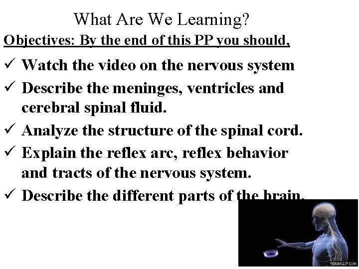 What Are We Learning? Objectives: By the end of this PP you should, ü