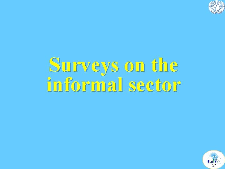 Surveys on the informal sector 21 