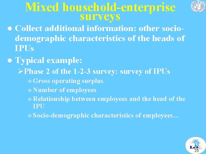 Mixed household-enterprise surveys Collect additional information: other sociodemographic characteristics of the heads of IPUs