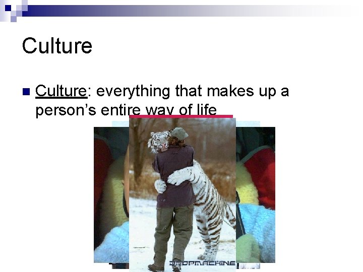Culture n Culture: everything that makes up a person’s entire way of life 