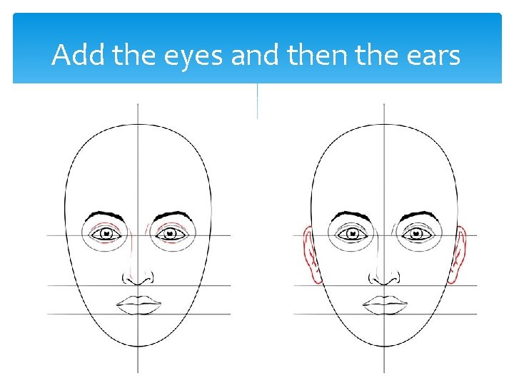 Add the eyes and then the ears 
