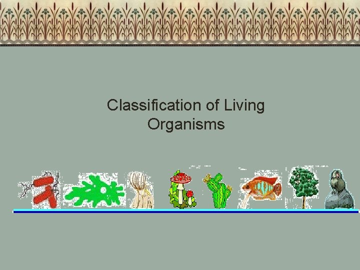 Classification of Living Organisms 