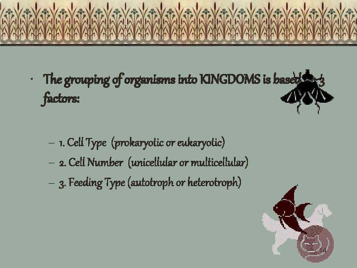  • The grouping of organisms into KINGDOMS is based on 3 factors: –