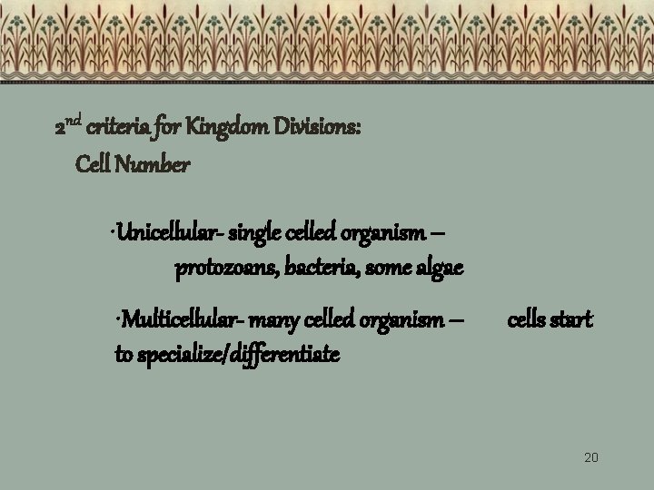 2 nd criteria for Kingdom Divisions: Cell Number • Unicellular- single celled organism – 2 nd criteria for Kingdom Divisions: Cell Number • Unicellular- single celled organism –