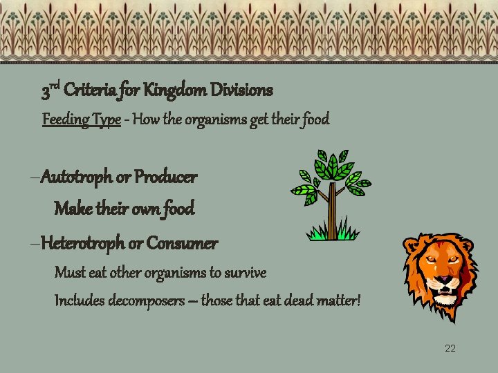 3 rd Criteria for Kingdom Divisions Feeding Type - How the organisms get their 3 rd Criteria for Kingdom Divisions Feeding Type - How the organisms get their