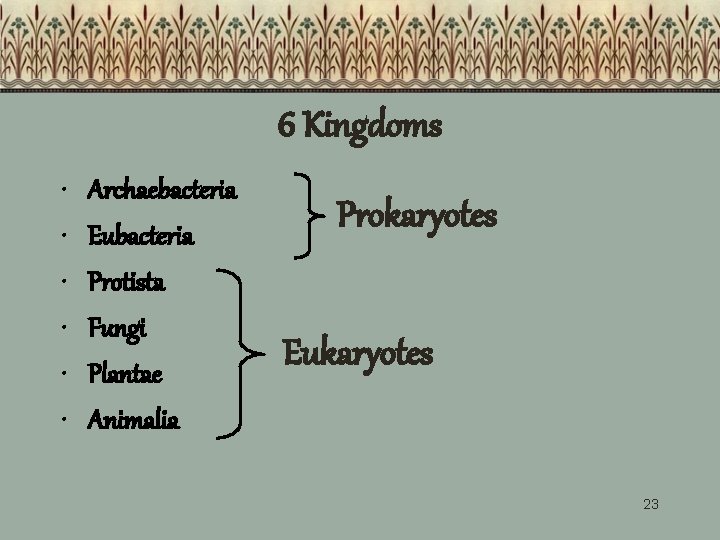 6 Kingdoms • • • Archaebacteria Eubacteria Protista Fungi Plantae Animalia Prokaryotes Eukaryotes 23 6 Kingdoms • • • Archaebacteria Eubacteria Protista Fungi Plantae Animalia Prokaryotes Eukaryotes 23