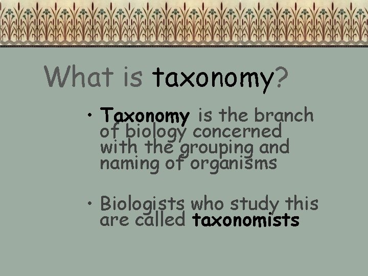 What is taxonomy? • Taxonomy is the branch of biology concerned with the grouping What is taxonomy? • Taxonomy is the branch of biology concerned with the grouping
