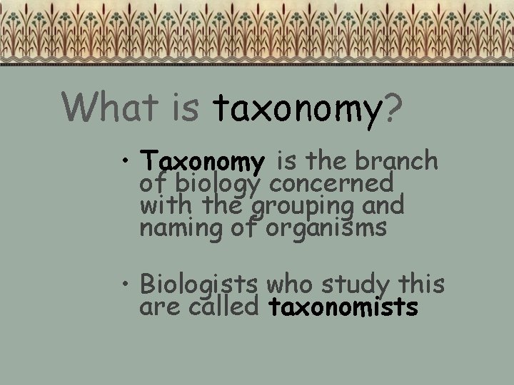 What is taxonomy? • Taxonomy is the branch of biology concerned with the grouping