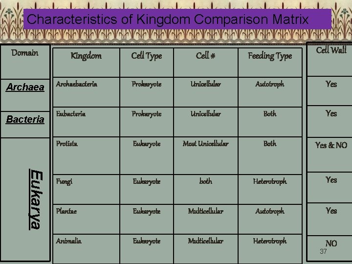 Characteristics of Kingdom Comparison Matrix Domain Kingdom Cell Type Cell # Feeding Type Cell