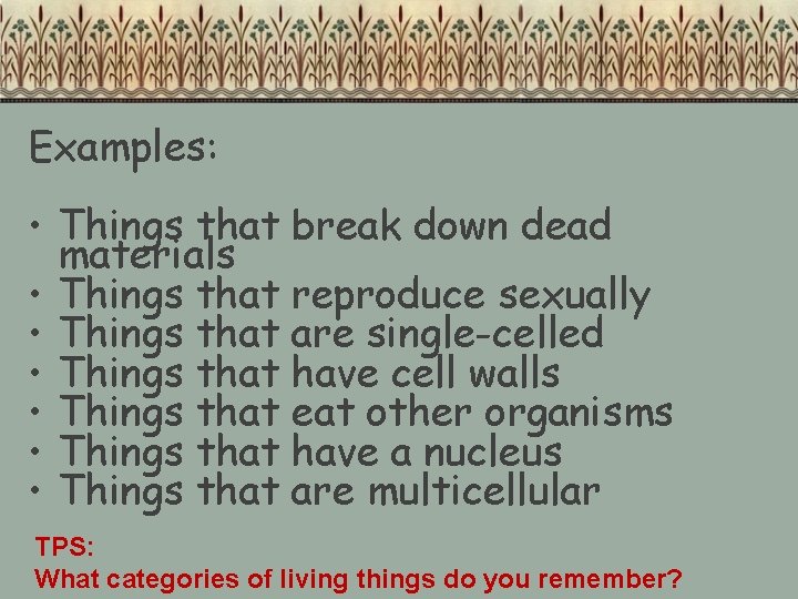 Examples: • Things that break down dead materials • Things that reproduce sexually •