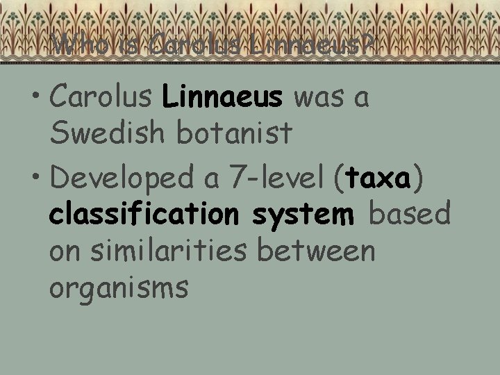 Who is Carolus Linnaeus? • Carolus Linnaeus was a Swedish botanist • Developed a Who is Carolus Linnaeus? • Carolus Linnaeus was a Swedish botanist • Developed a