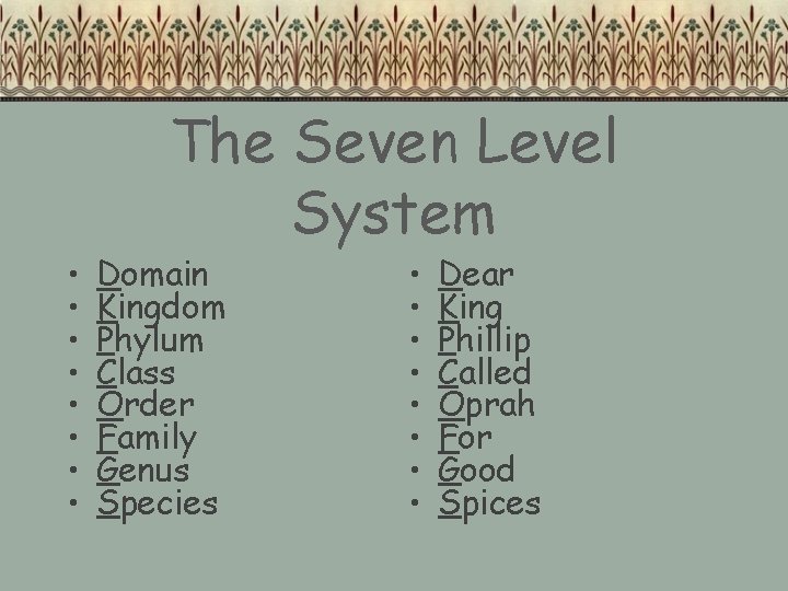 • • The Seven Level System Domain Kingdom Phylum Class Order Family Genus • • The Seven Level System Domain Kingdom Phylum Class Order Family Genus