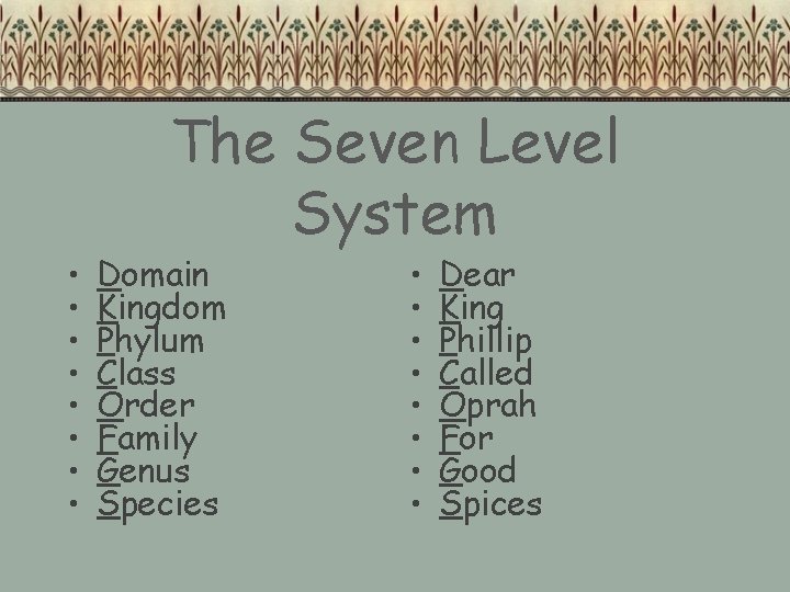  • • The Seven Level System Domain Kingdom Phylum Class Order Family Genus