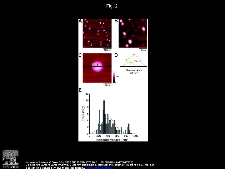 Fig. 2 Journal of Biological Chemistry 2005 28010759 -10765 DOI: (10. 1074/jbc. M 412265200)