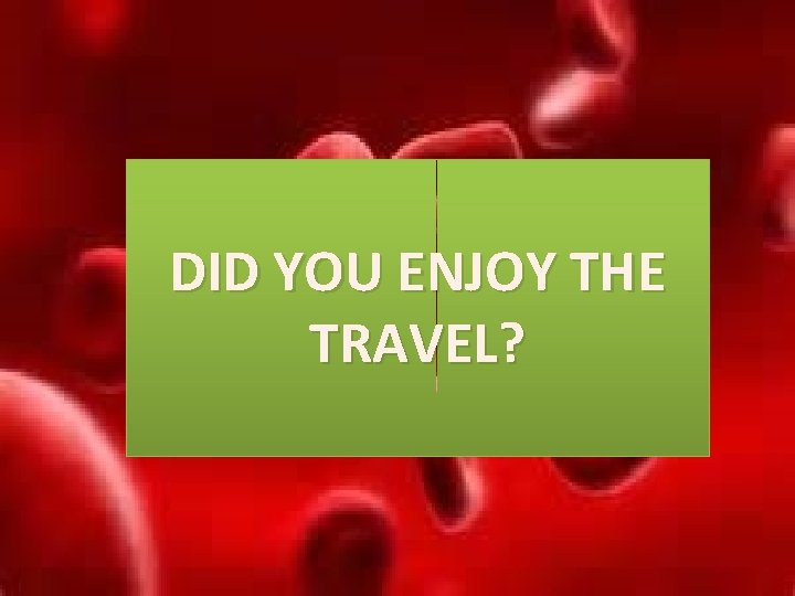DID YOU ENJOY THE TRAVEL? 