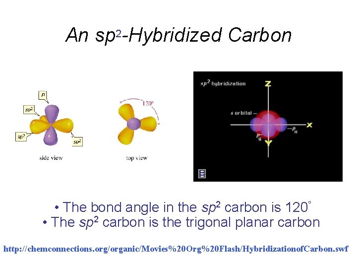 An sp 2 -Hybridized Carbon • The bond angle in the sp 2 carbon